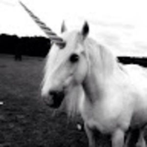 Meet your Posher, Franky